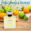 Amber 50ml Eau de Toilette - Image 2